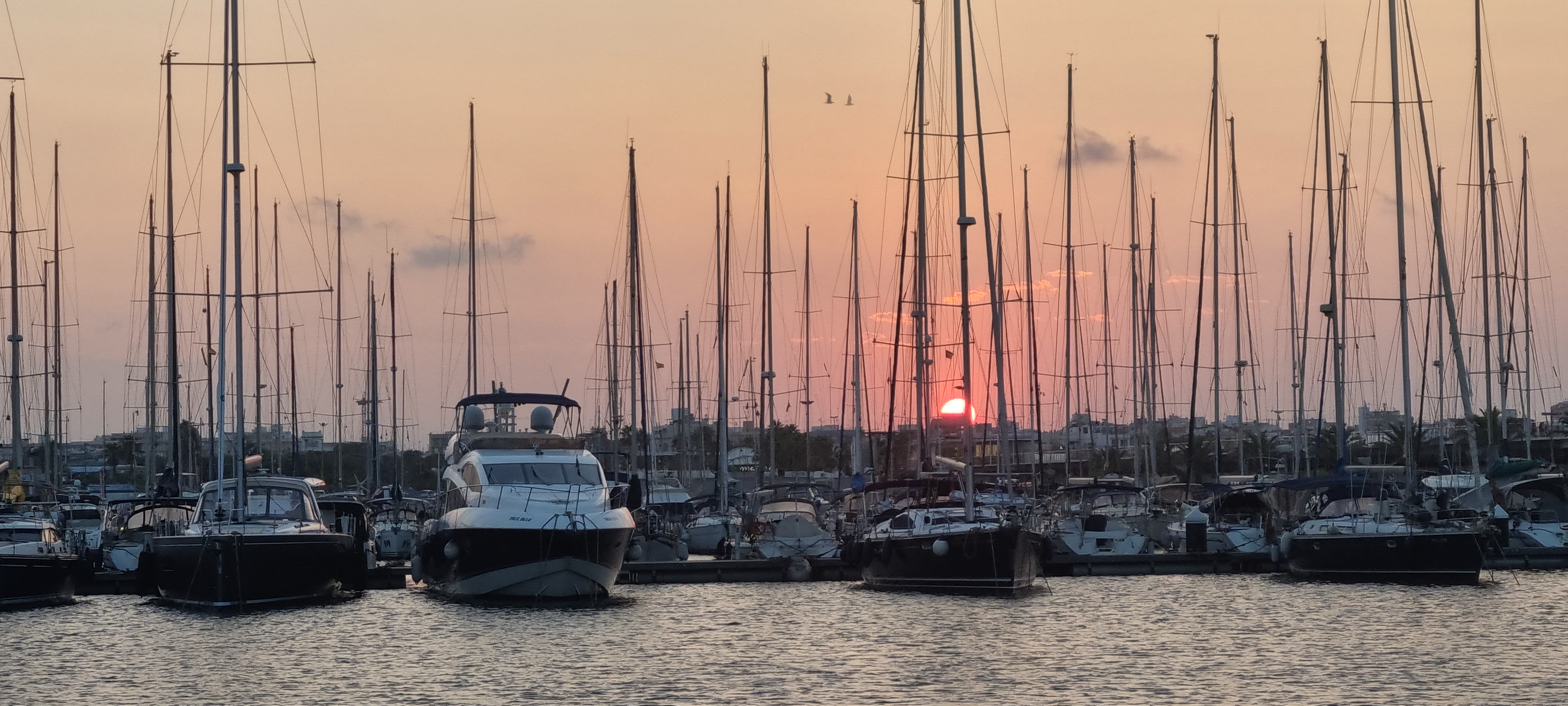 Valencia marina at sunset
