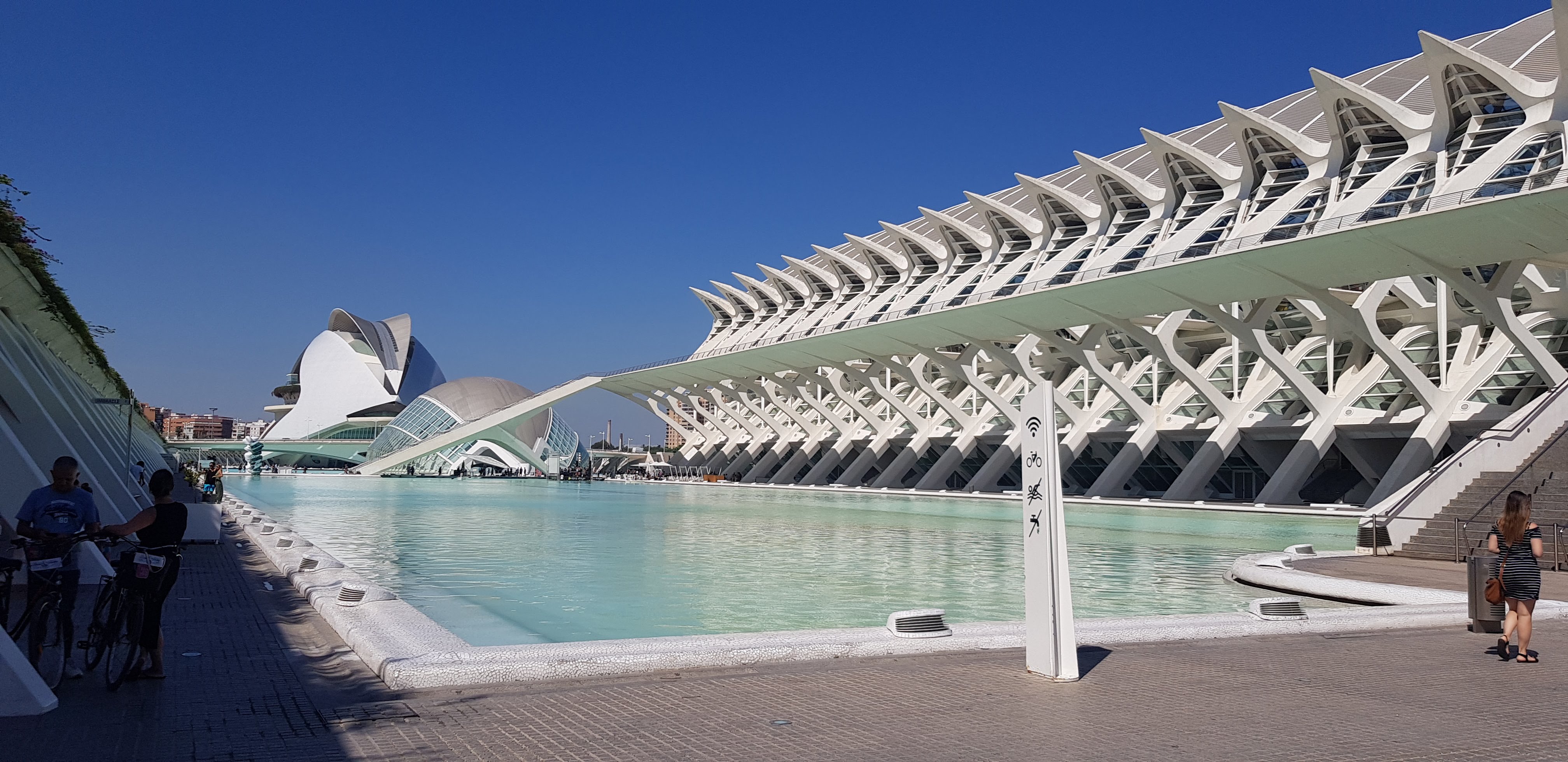 City of Arts and Sciences Pool