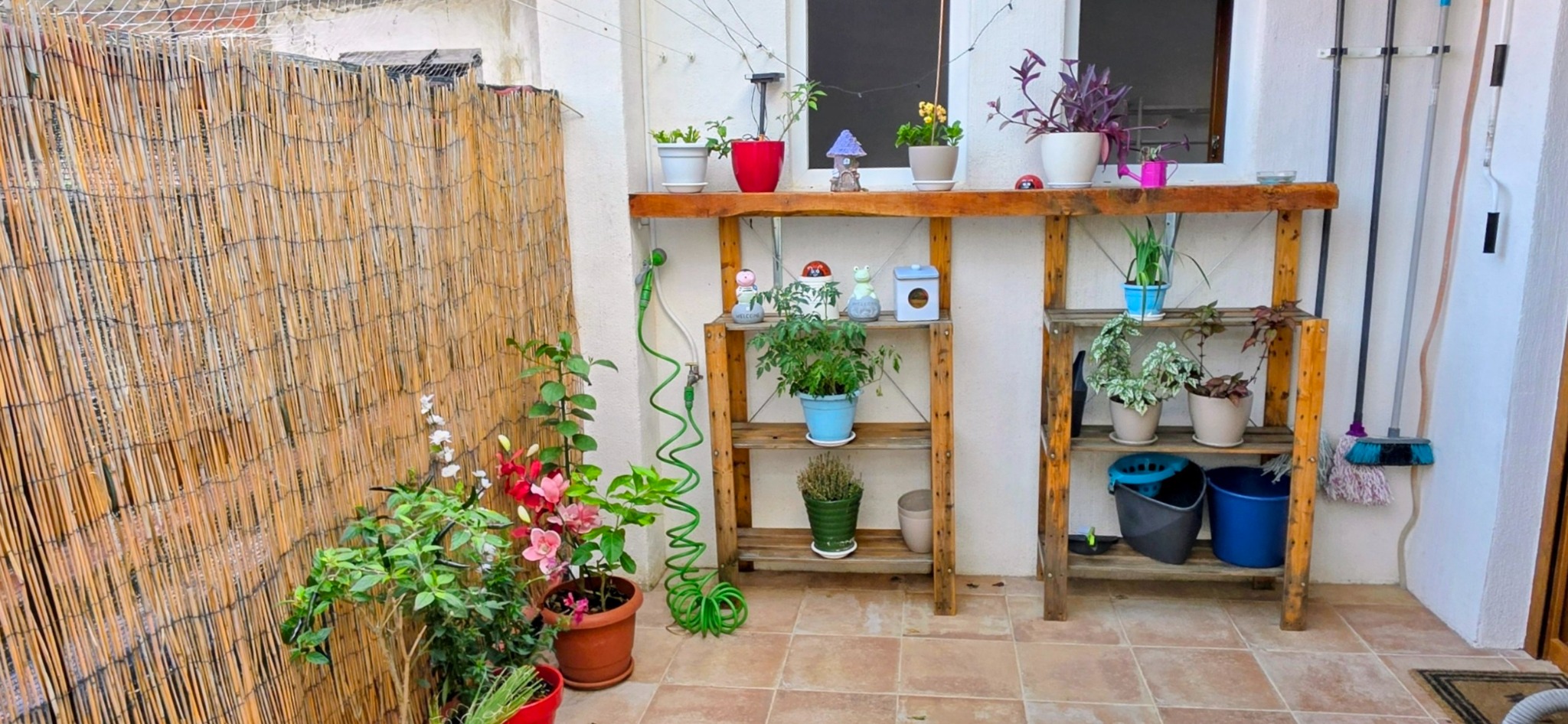 Terrace plants